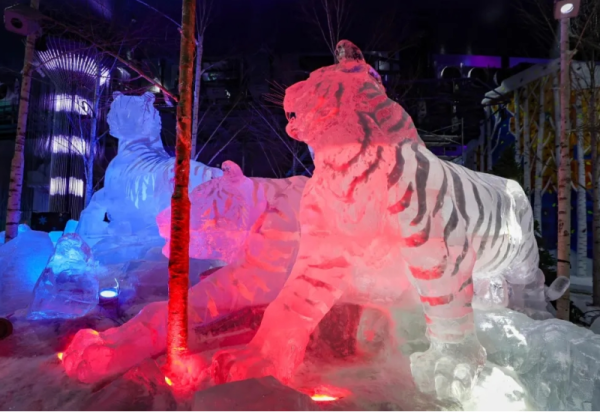 威廉希尔体育梦幻冰雪馆：铸就冰雪传奇 邂逅梦幻奇境